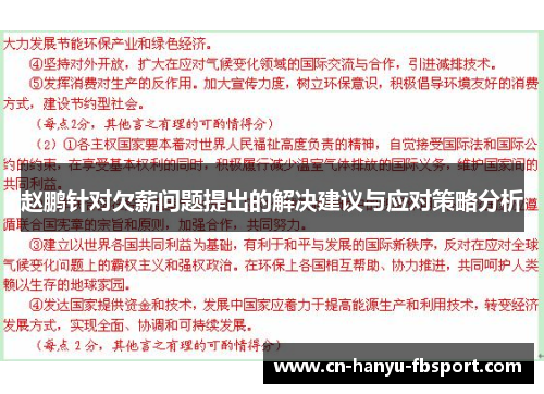 赵鹏针对欠薪问题提出的解决建议与应对策略分析
