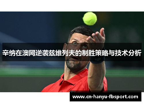 辛纳在澳网逆袭兹维列夫的制胜策略与技术分析