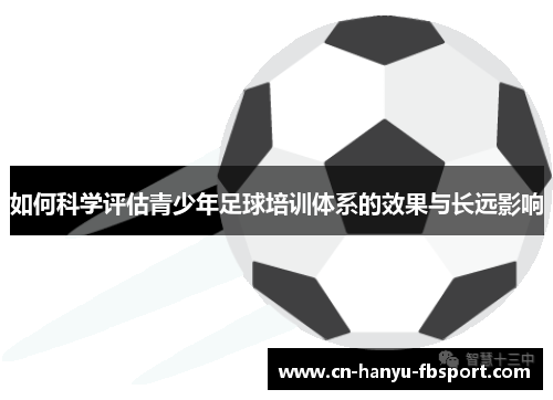 如何科学评估青少年足球培训体系的效果与长远影响